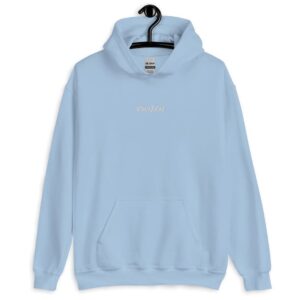 Light Blue Switch Classic Hoodie